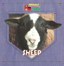 Beispielbild fr Sheep zum Verkauf von Better World Books: West