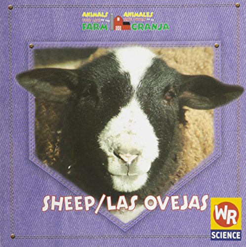 Stock image for Sheep/ Las Ovejas: Animals That Live On the Farm = Animales Que Viven En La Granja for sale by Ebooksweb
