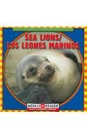 Beispielbild fr Sea Lions / Los Leones Marinos zum Verkauf von Better World Books: West