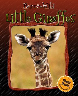 Imagen de archivo de Little Giraffes a la venta por Better World Books