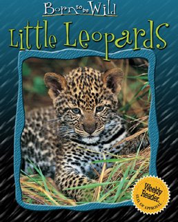 Little Leopards (Born to Be Wild) (9780836844382) by Chottin, Ariane