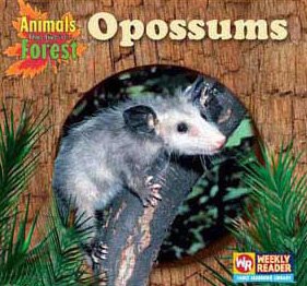 Beispielbild fr Opossums zum Verkauf von Better World Books