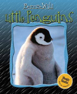 Beispielbild fr Little Penguins zum Verkauf von Better World Books: West