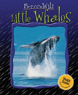 Imagen de archivo de Little Whales a la venta por Better World Books: West