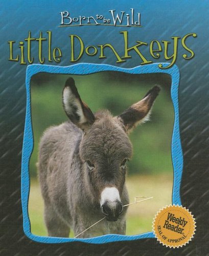 Stock image for Little Donkeys for sale by Better World Books
