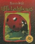 9780836861686: Little Ladybugs (Born to Be Wild)