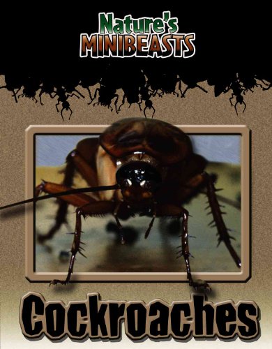 Imagen de archivo de Cockroaches a la venta por Better World Books