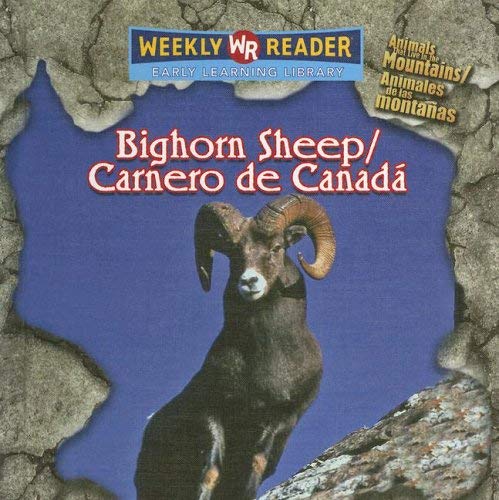 Stock image for Bighorn Sheep / Carnero De Canada: Animals That Live in the Mountains / Animales De Las Montanas (Spanish Edition) for sale by HPB Inc.