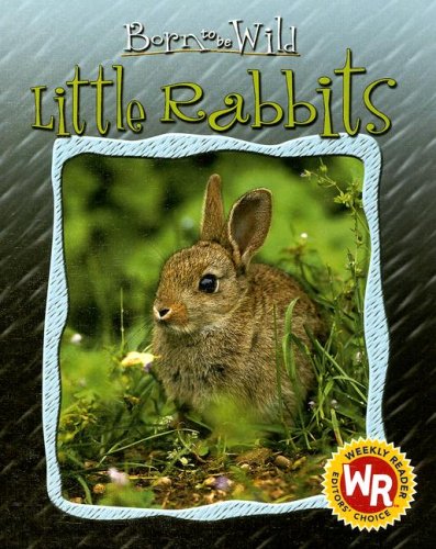 Stock image for Little Rabbits for sale by ThriftBooks-Dallas