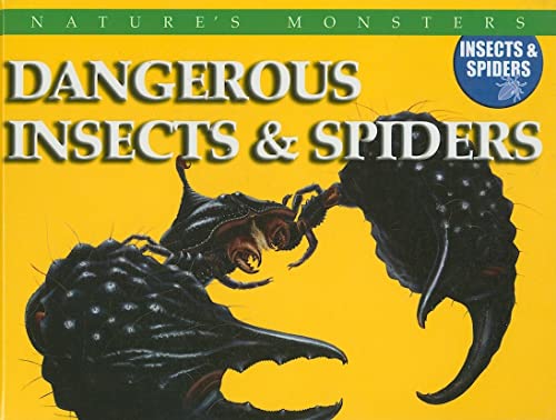 Imagen de archivo de Dangerous Insects & Spiders: Dangerous Insects And Spiders (Nature's Monsters: Insects & Spiders) a la venta por Wonder Book
