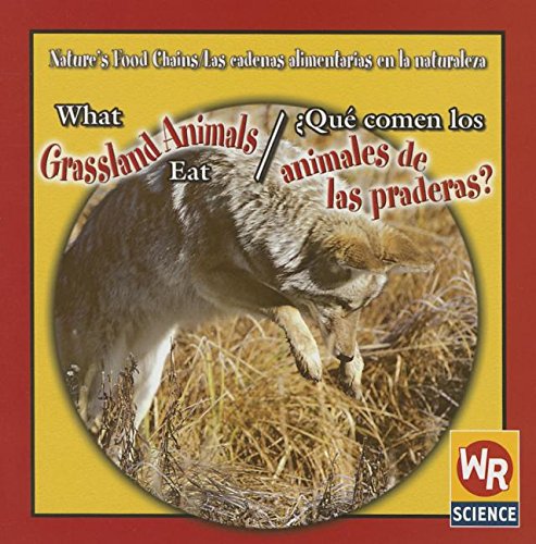 What Grassland Animals Eat/ Que Comen Los Animales De Las Praderas?: Que Comen Los Animales De Las Praderas? (Nature's Food Chains/ Las Cadenas ... La Naturaleza) (Spanish and English Edition) (9780836873801) by Mattern, Joanne