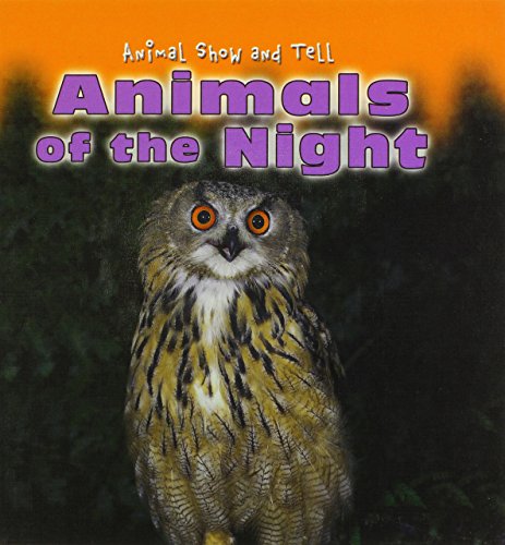 Stock image for Animals of the Night for sale by Better World Books: West