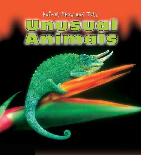 Beispielbild fr Unusual Animals zum Verkauf von ThriftBooks-Dallas