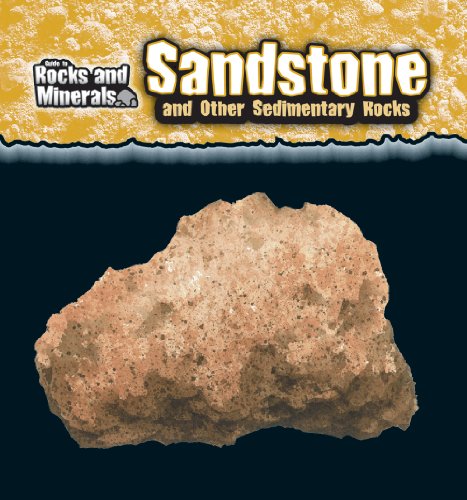 Beispielbild fr Sandstone and Other Sedimentary Rocks (Guide to Rocks and Mineral zum Verkauf von Hawking Books