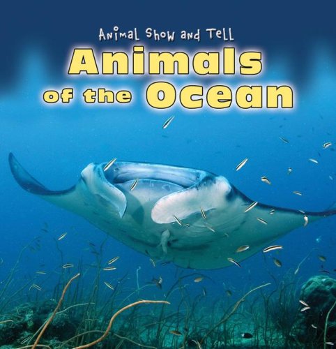 Beispielbild fr Animals of the Ocean zum Verkauf von Better World Books