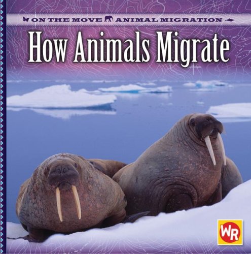 Beispielbild fr How Animals Migrate (On the Move: Animal Migration) zum Verkauf von Irish Booksellers