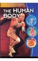 The Human Body (Gareth Stevens Vital Science- Life Science) (9780836884500) by Somervill, Barbara A.