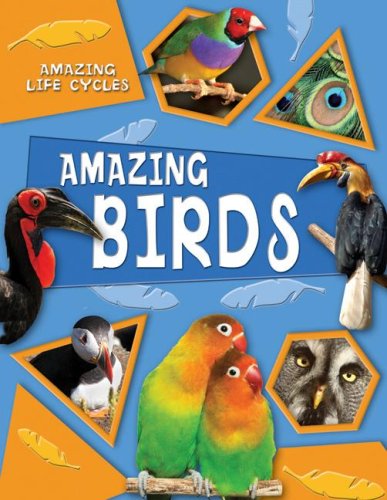 Amazing Birds (Amazing Life Cycles) (9780836888942) by Williams, Brenda