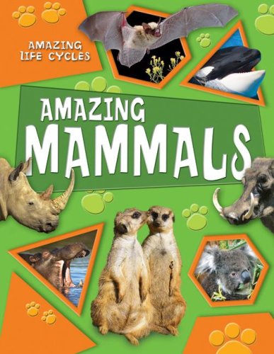 Imagen de archivo de Amazing Mammals (Amazing Life Cycles) a la venta por Ergodebooks