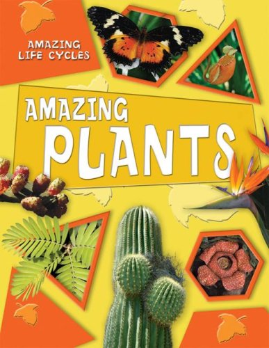 Amazing Plants (Amazing Life Cycles) (9780836888973) by Head, Honor