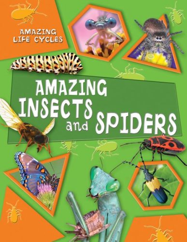 Imagen de archivo de Amazing Insects and Spiders a la venta por Better World Books
