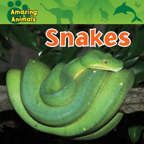 Beispielbild fr Snakes zum Verkauf von Better World Books