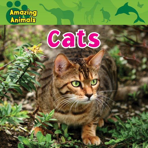 9780836891058: Cats (Amazing Animals)