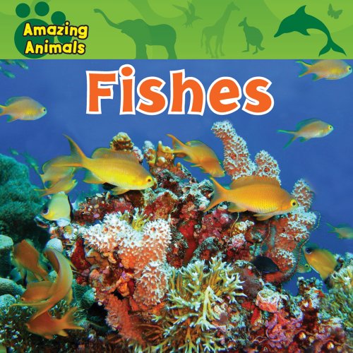 9780836891065: Fishes (Amazing Animals)