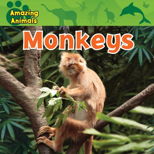 9780836891096: Monkeys (Amazing Animals)