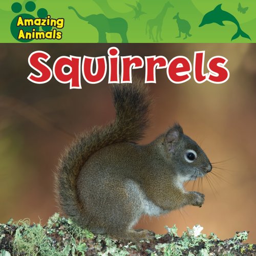 Squirrels (Amazing Animals) (9780836891126) by Ciovacco, Justine