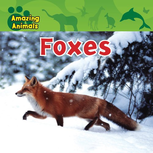 Stock image for Foxes for sale by Better World Books