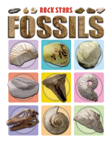 9780836892239: Fossils (Rock Stars)