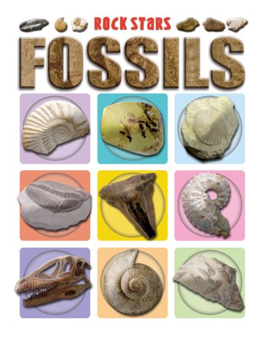Stock image for Fossils (Rock Stars) for sale by Irish Booksellers