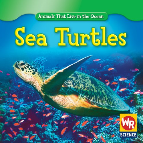 Beispielbild fr Sea Turtles zum Verkauf von Better World Books