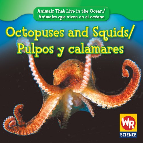 9780836892482: Octopuses and Squids/Pulpos Y Calamares (Animals That Live in the Ocean/Animales Que Viven En El Oceano)