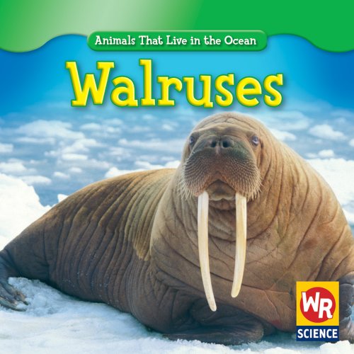9780836895667: Walruses (Animals That Live in the Ocean)