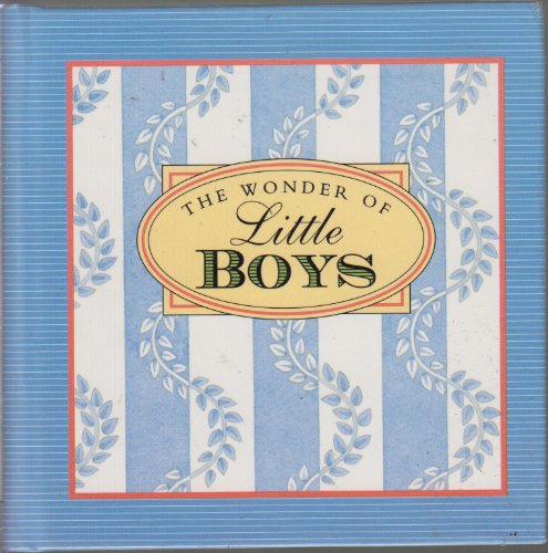 Beispielbild fr The Wonder of Little Boys zum Verkauf von Jenson Books Inc