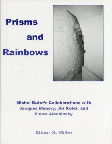 9780838639191: Prisms And Rainbows: Michel Butor's Collaborations With Jacques Monory, Jiri Kolar, and Pierre Alechinsky
