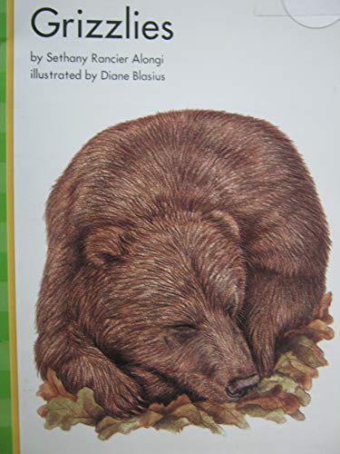 Stock image for Phonics Plus Level B Grizzlies for sale by BookHolders