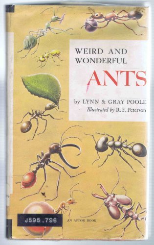 Stock image for Weird and Wonderful Ants for sale by ThriftBooks-Dallas