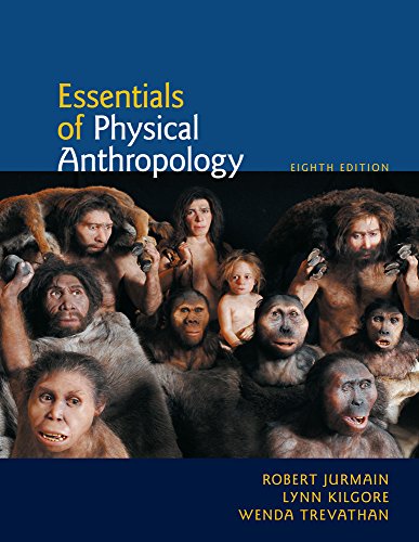 Beispielbild fr Essentials of Physical Anthropology zum Verkauf von HPB-Red
