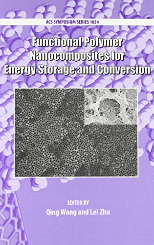 Imagen de archivo de Functional Polymer Nanocomposites for Energy Storage and Conversion (ACS Symposium Series) a la venta por Housing Works Online Bookstore