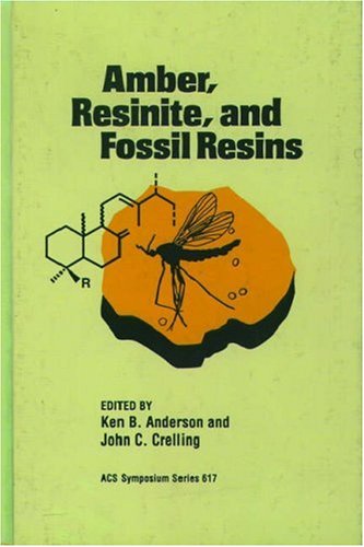 Amber, Resinite and Fossil Resins (ACS Symposium Series, No. 617)