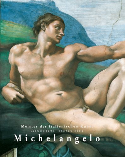 9780841600829: Michelangelo