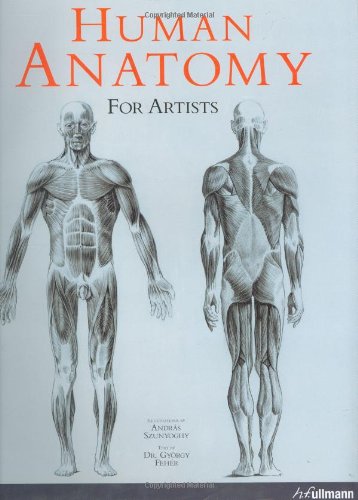 9780841601789: Human Anatomy for Artists