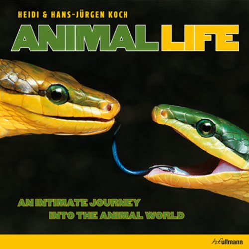 Beispielbild fr Animal Life: An Intimate Journey into the Animal World zum Verkauf von HPB-Red