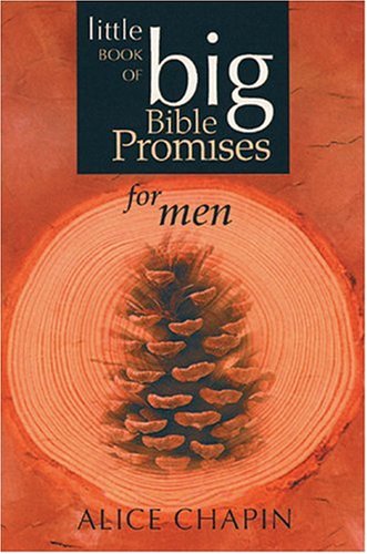Stock image for The Little Book of Big Bible Promises for Men for sale by Wonder Book