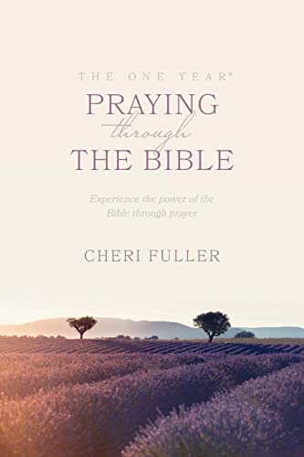 Stock image for The One Year Book of Praying through the Bible for sale by SecondSale