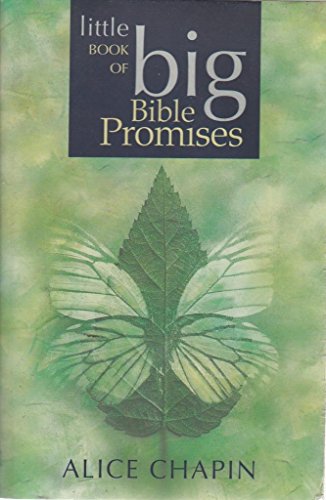 Beispielbild fr The Little Book of Big Bible Promises zum Verkauf von Wonder Book