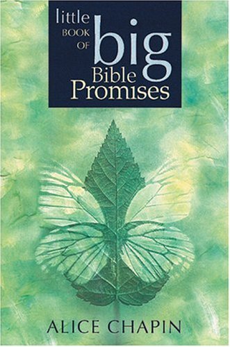 Stock image for Little Book of Big Bible Promises for sale by Goldstone Books